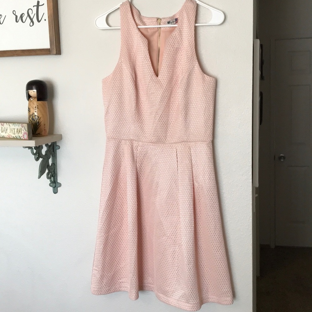 KUT from the Kloth Light pink dress